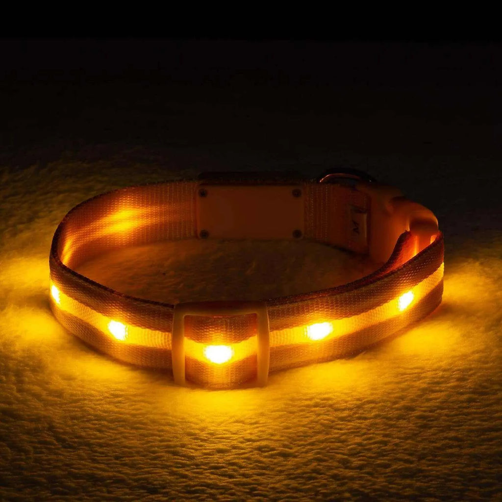 Safety LED Dog Collar - USB Rechargeable Waterproof Light for Night Walks