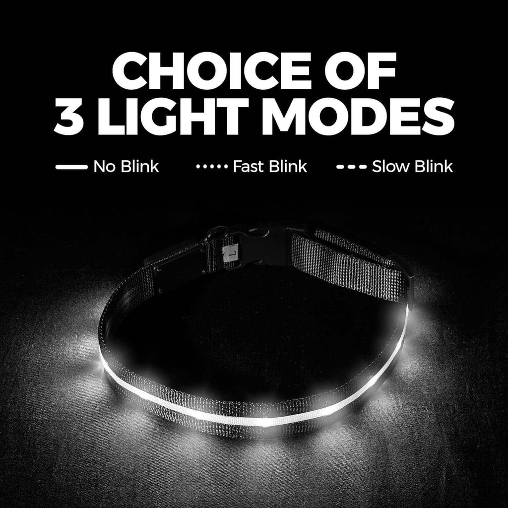 Safety LED Dog Collar - USB Rechargeable Waterproof Light for Night Walks