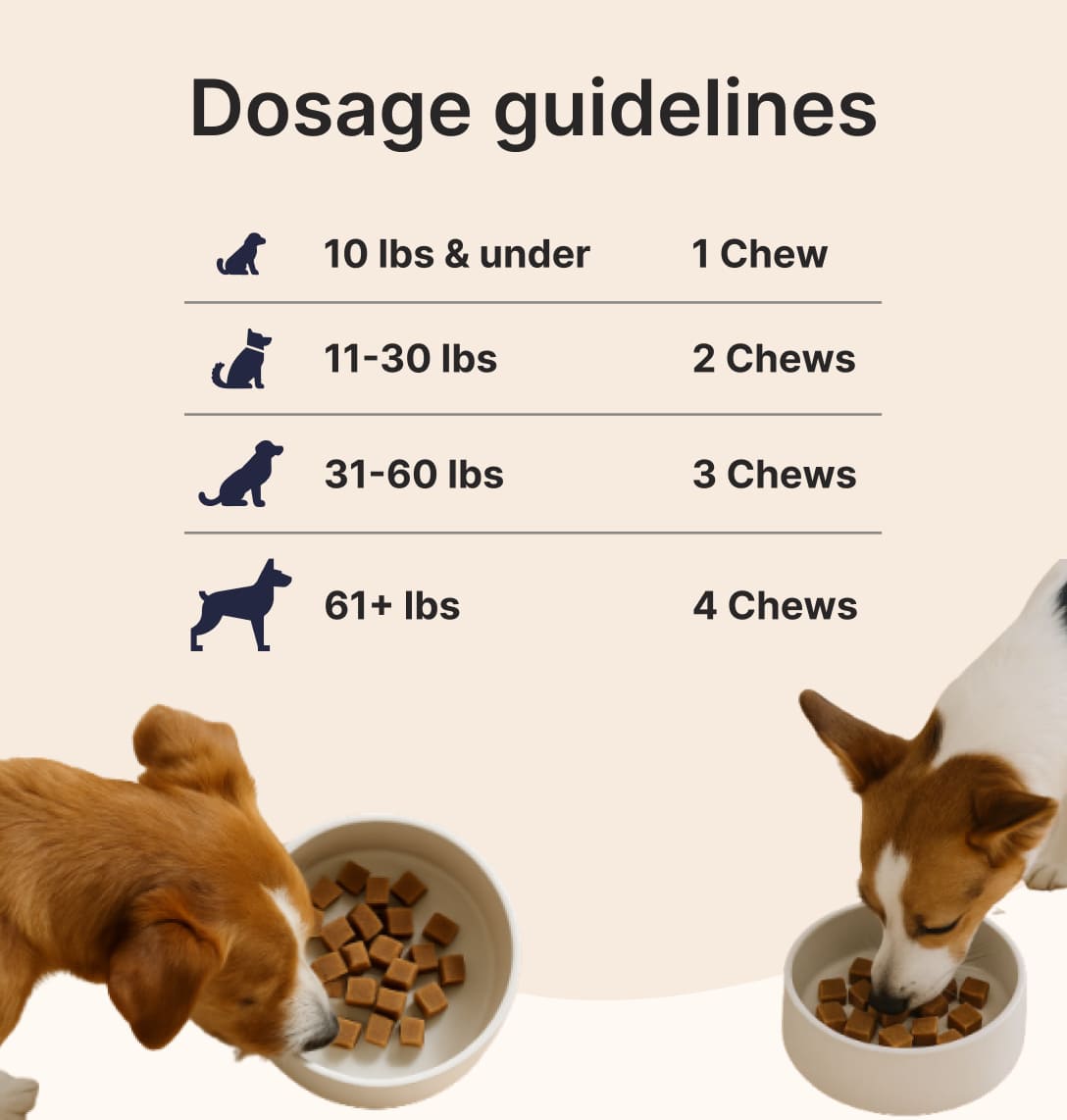 Dog Joint & Multivitamin Chews — Glucosamine, MSM + Daily Vitamins (90 Soft Chews)
