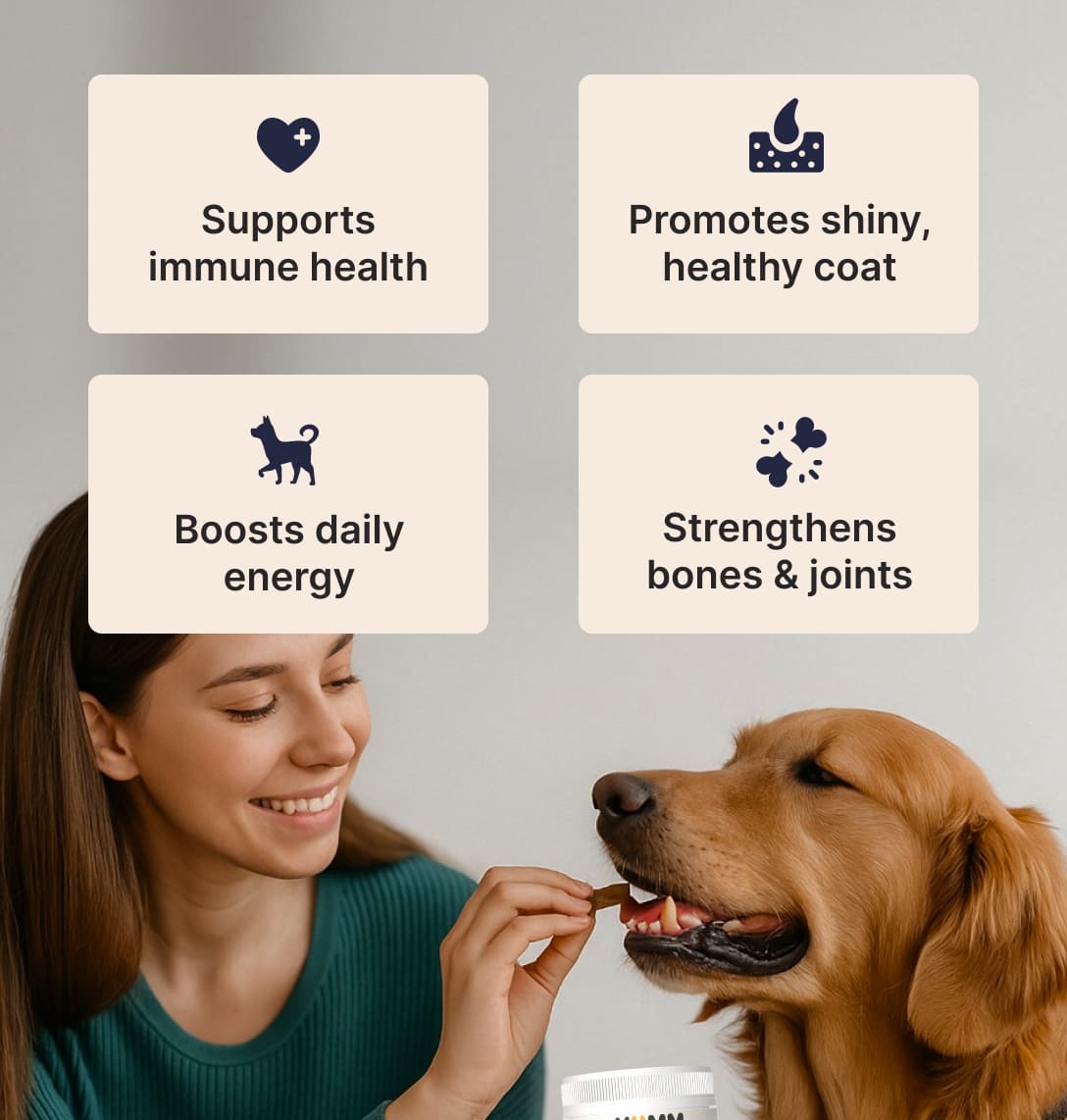 Dog Joint & Multivitamin Chews — Glucosamine, MSM + Daily Vitamins (90 Soft Chews)