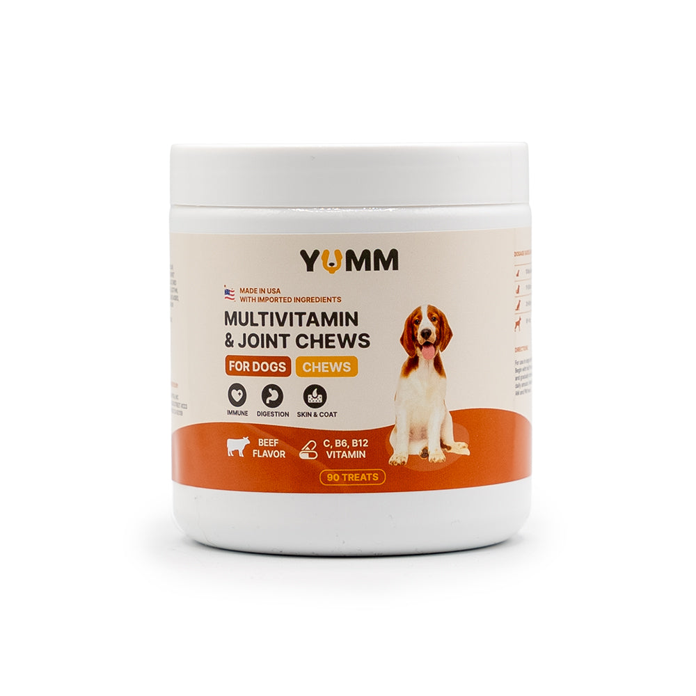 Dog Joint & Multivitamin Chews — Glucosamine, MSM + Daily Vitamins (90 Soft Chews)