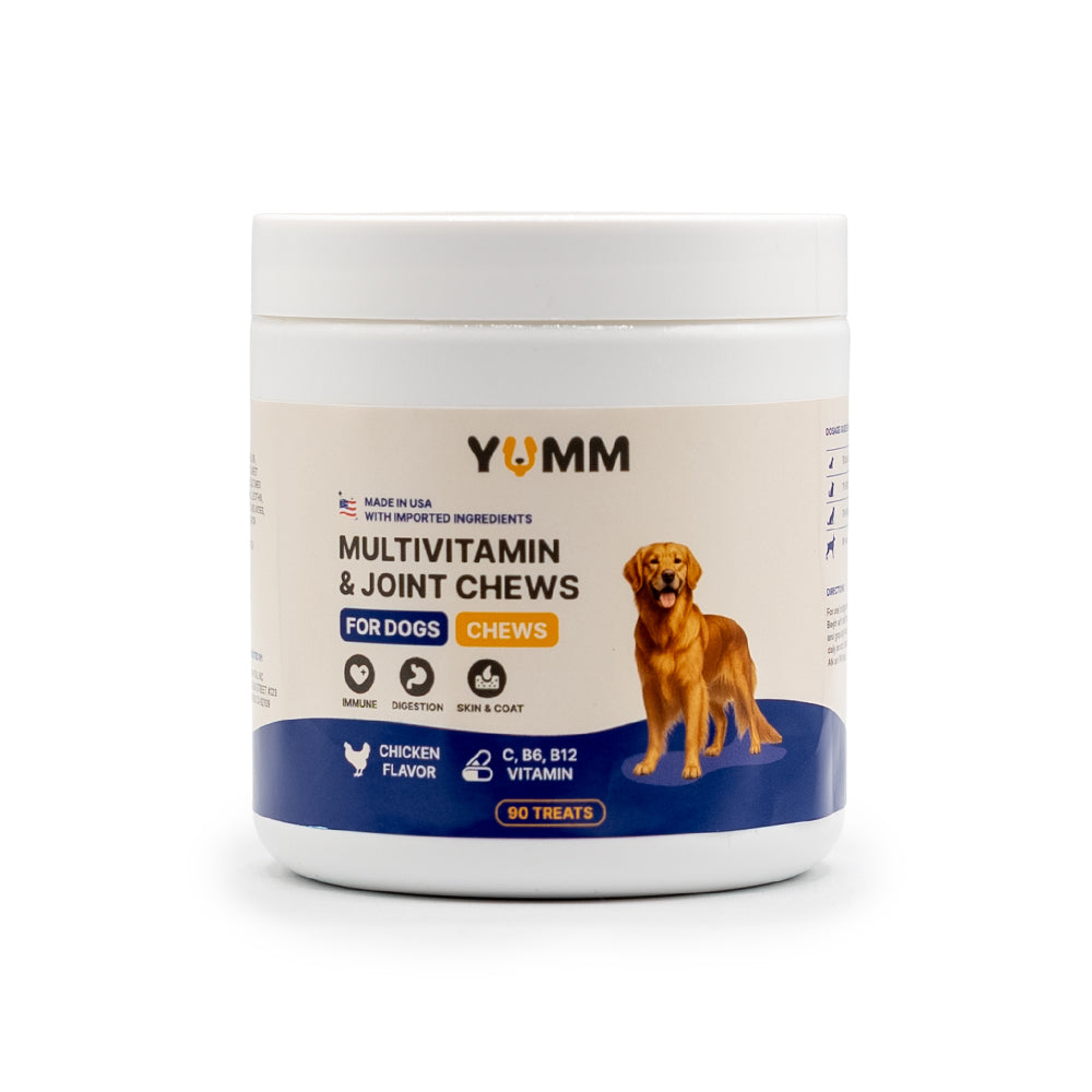 Dog Joint & Multivitamin Chews — Glucosamine, MSM + Daily Vitamins (90 Soft Chews)
