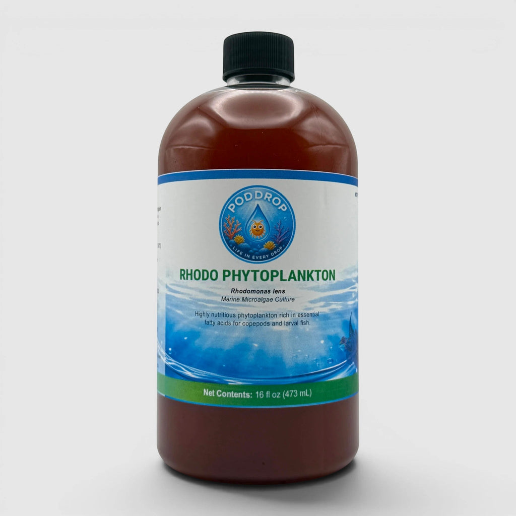 Rhodomonas lens Phytoplankton Culture