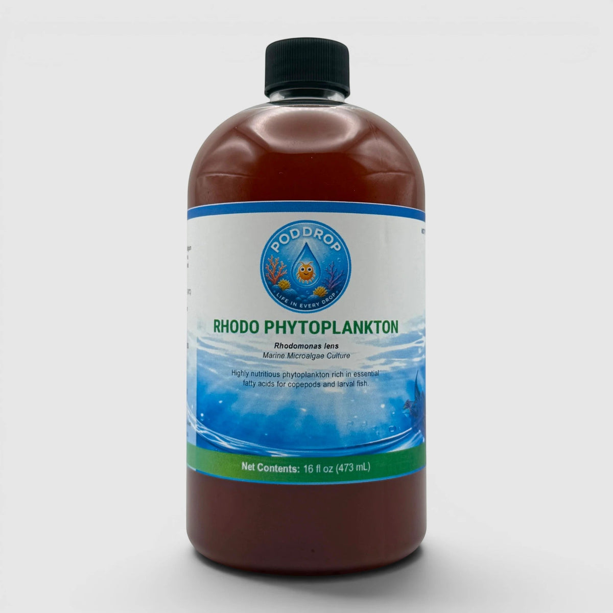 Rhodomonas lens Phytoplankton Culture