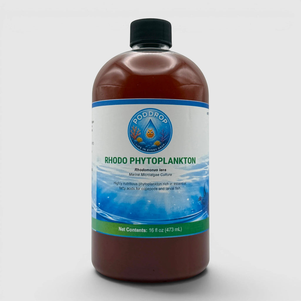 Rhodomonas lens Phytoplankton Culture