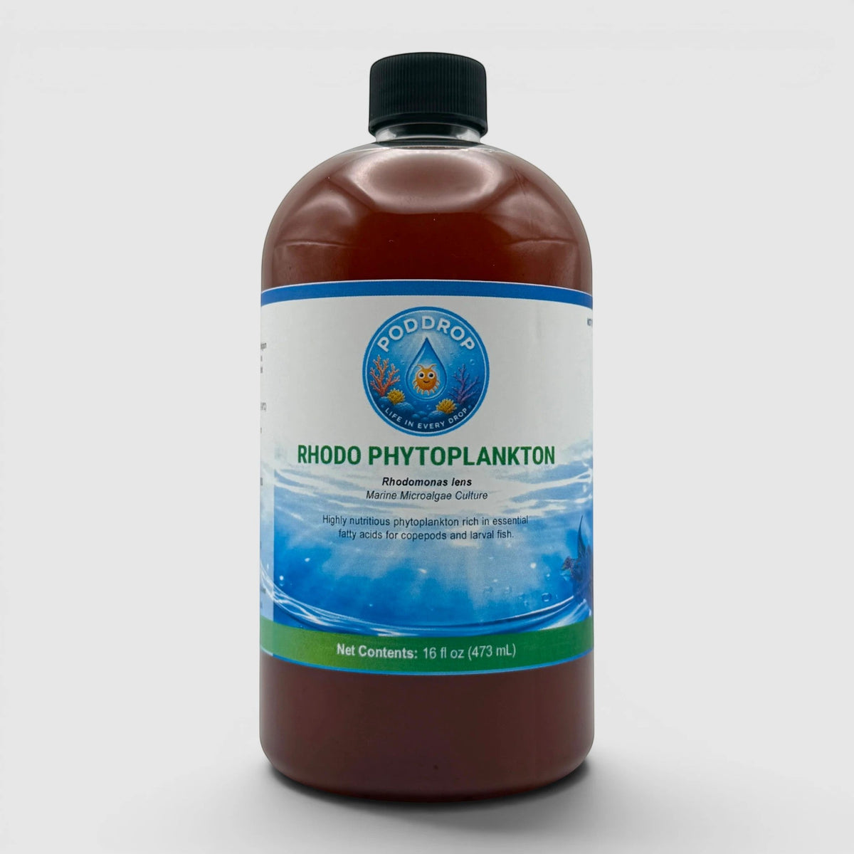 Rhodomonas lens Phytoplankton Culture